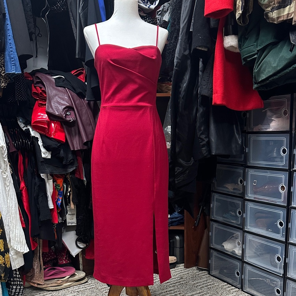 Dress the Population Red Dress
